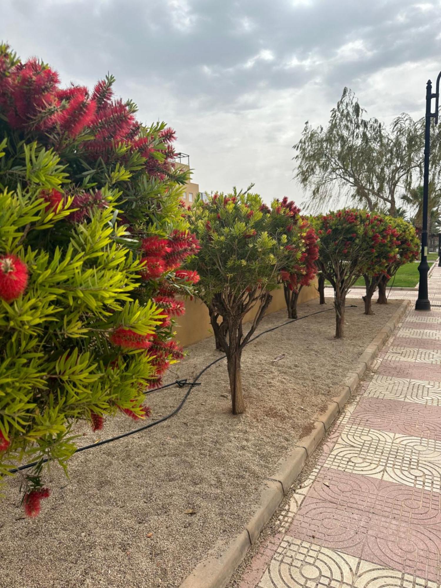 滨海罗克塔斯Aguadulce Sol Y Playa- A/C公寓 外观 照片